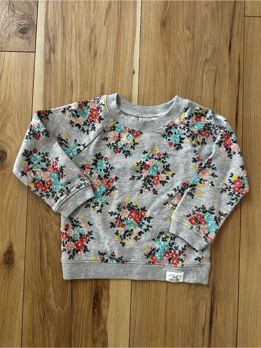 Carter's Gray Floral Sweatshirt with Teal and Red Accents